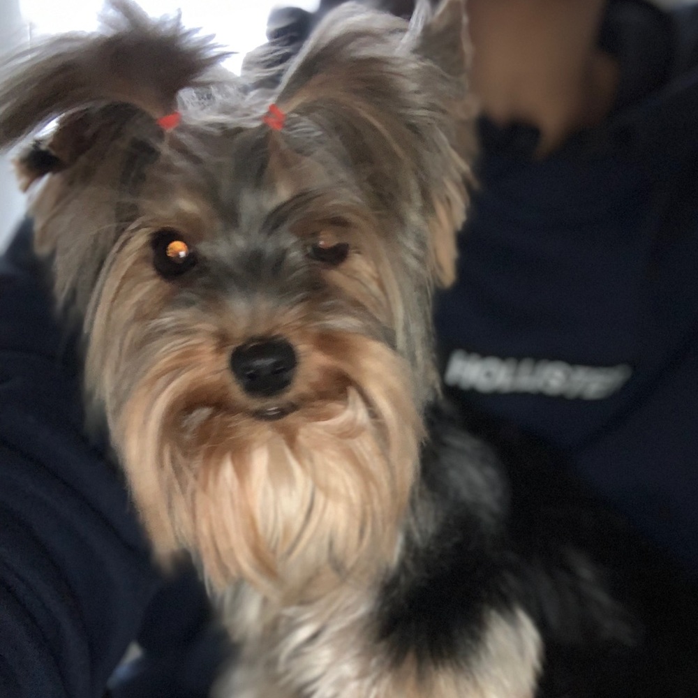 Meet your Posher, Aaron